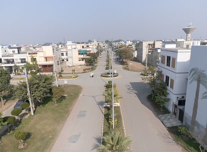 Dream Avenue