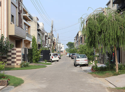 Dream Avenue