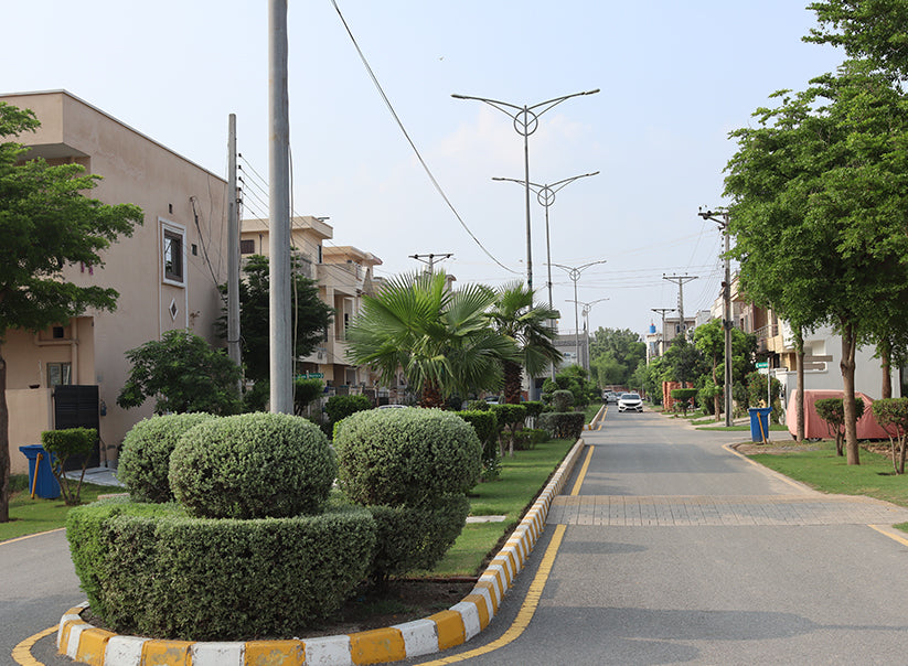Dream Avenue