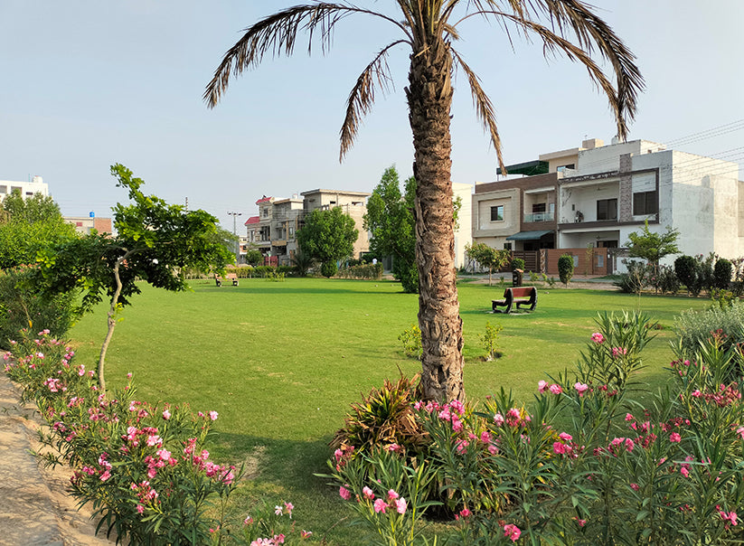 Manan Town