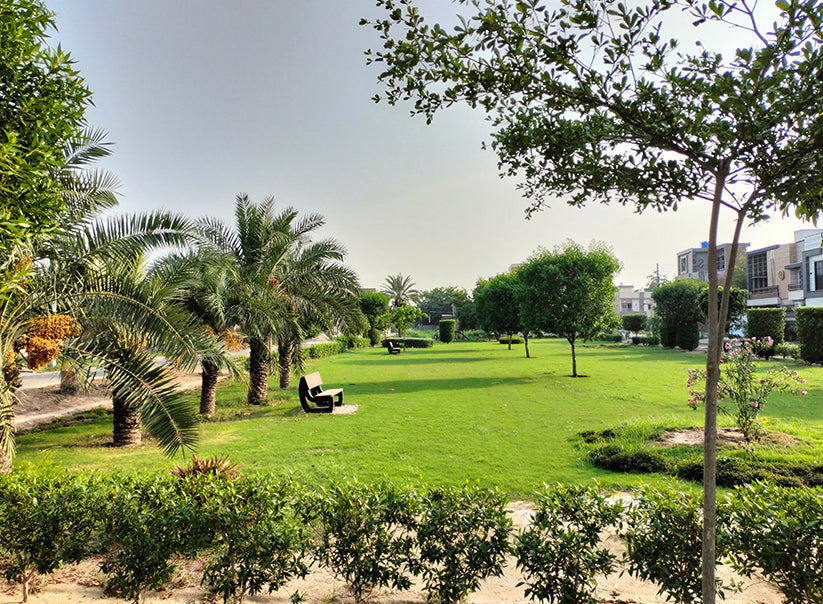 Manan Town